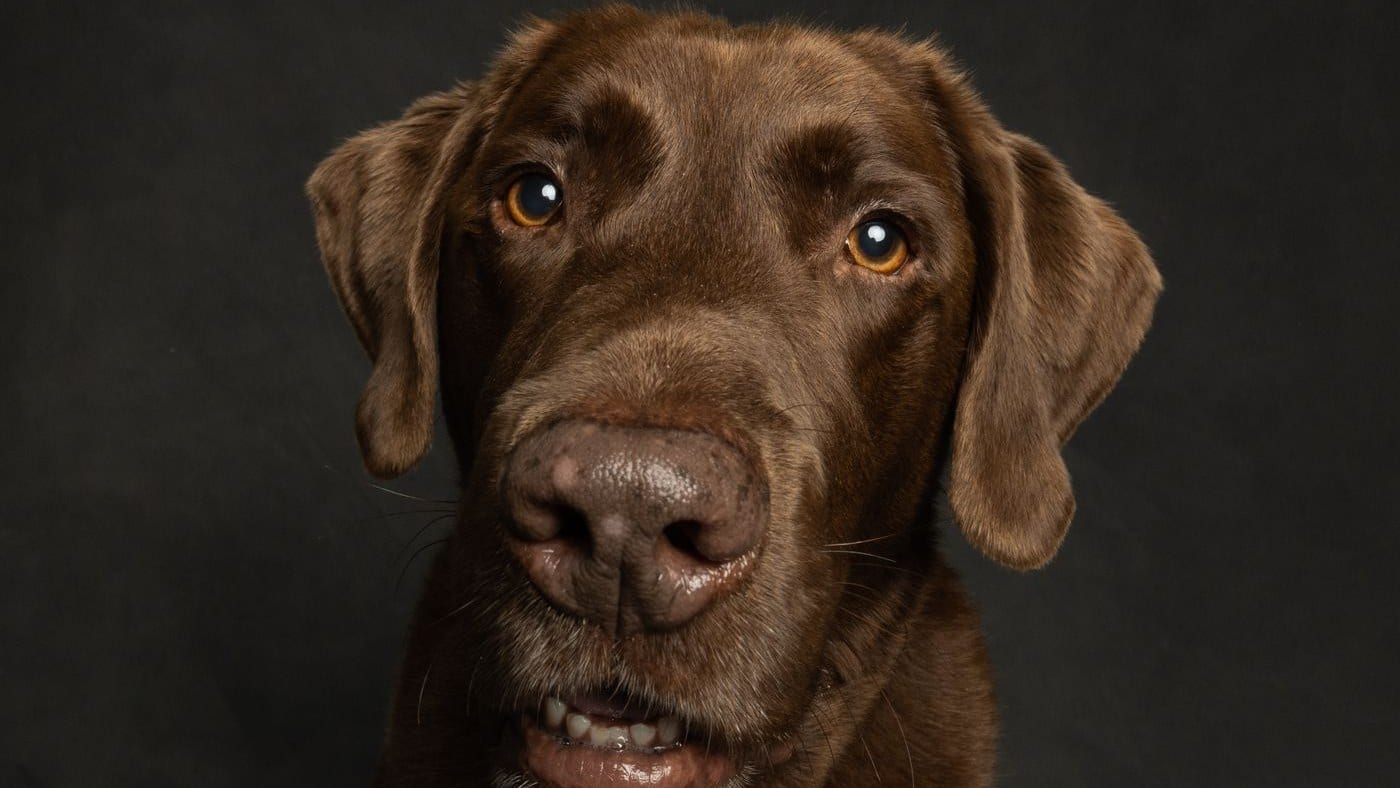 Ben