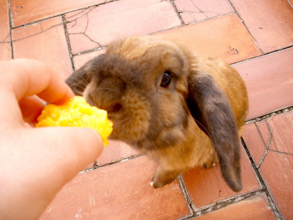Pepík
