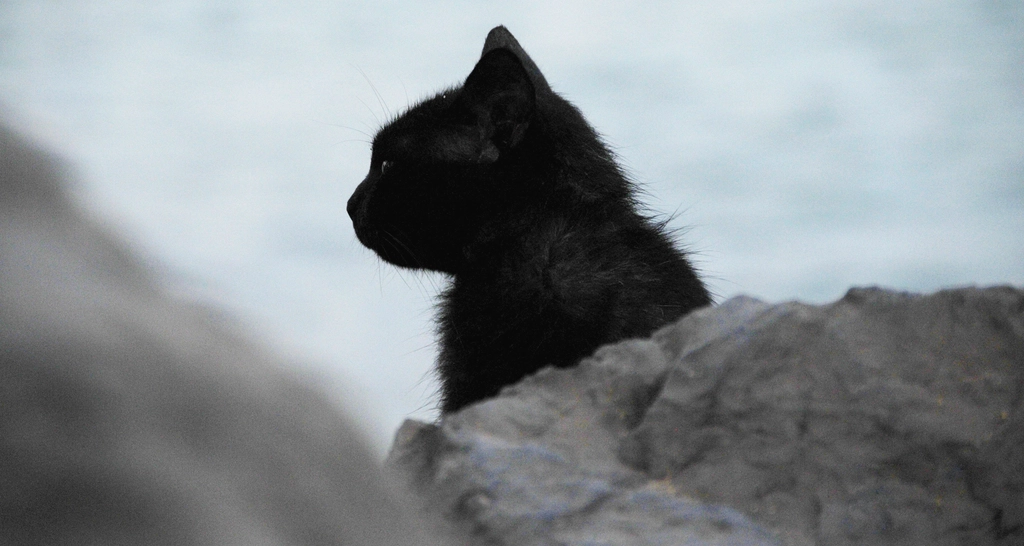 Smudge