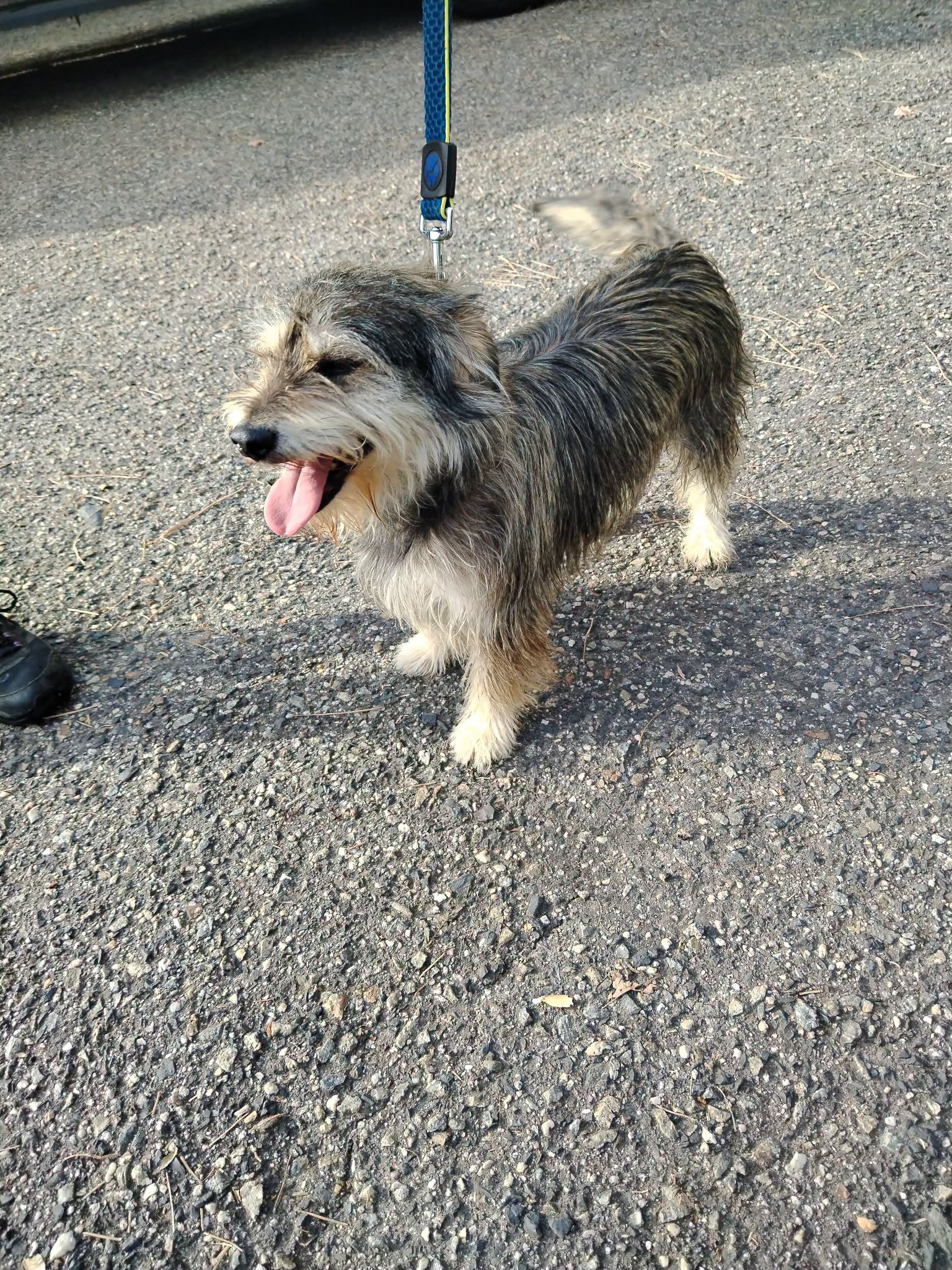 Monty